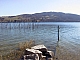 détail lac de paladru.JPG
